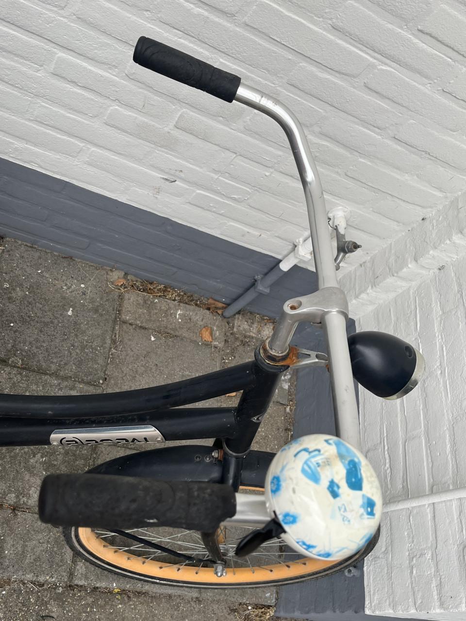 Leuke popal Meiden fiets