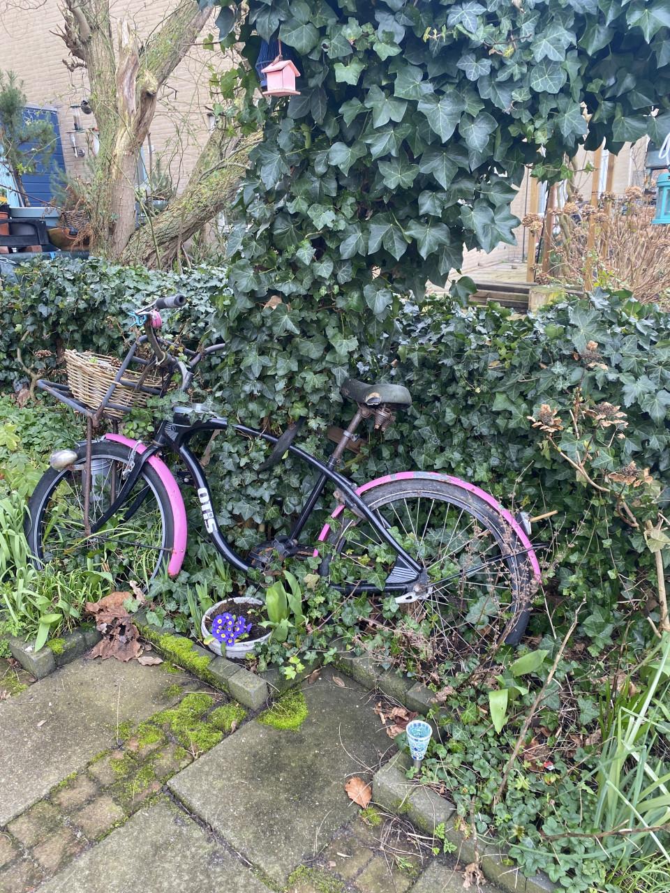 Bijzondere fiets gratis