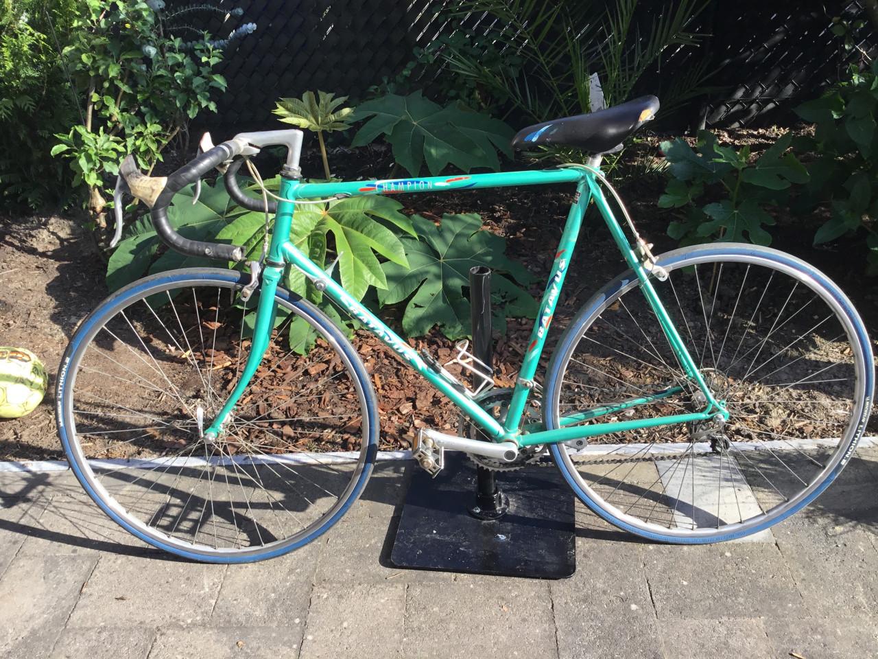 Wielrenfiets Batavus champion