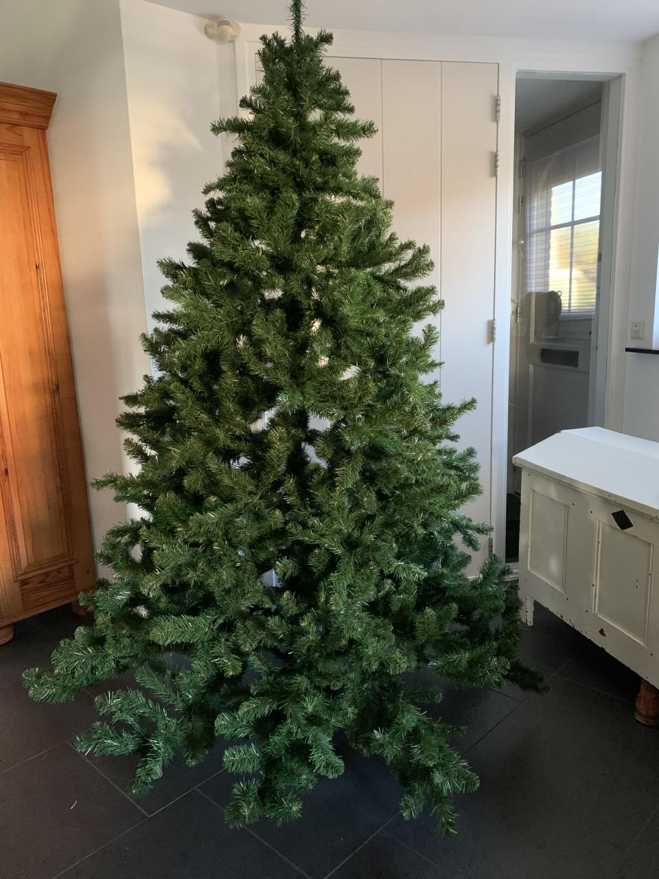 Kerstboom 2.15 m Triumph tree Intratuin