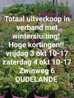 Tuinplanten OUDELANDE