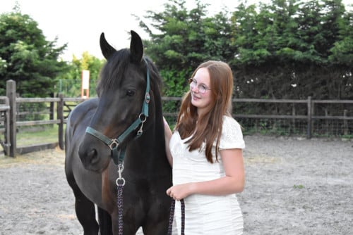 Mooie d pony te koop