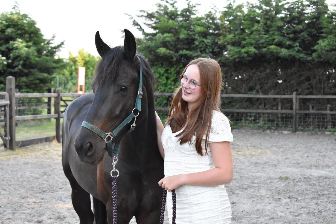 Mooie d pony te koop