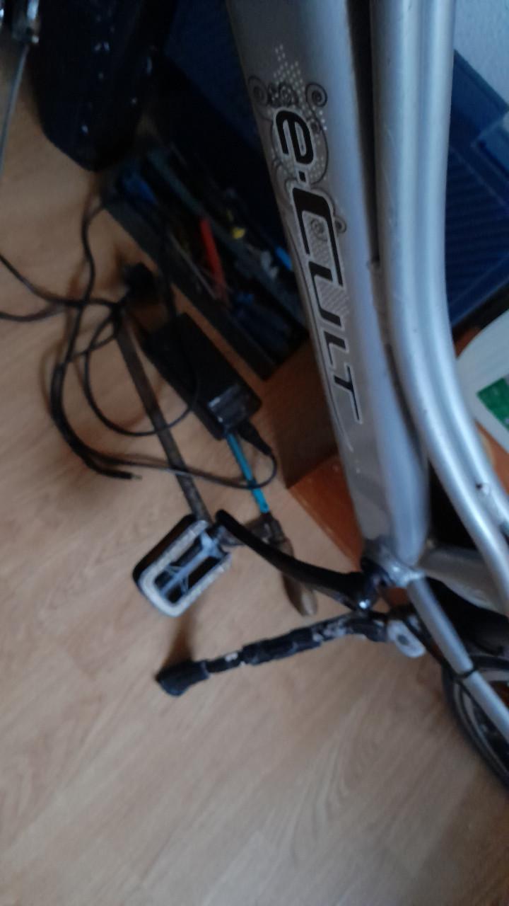 Electriche damesfiets