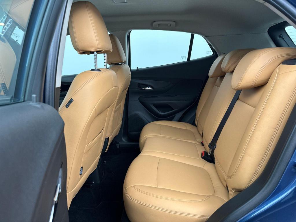 Opel Mokka 1.4 turbo online edition | eerste eigenaar! | leder | apple carp