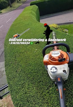 Onkruid verwijdering , maai en snoeiwerk