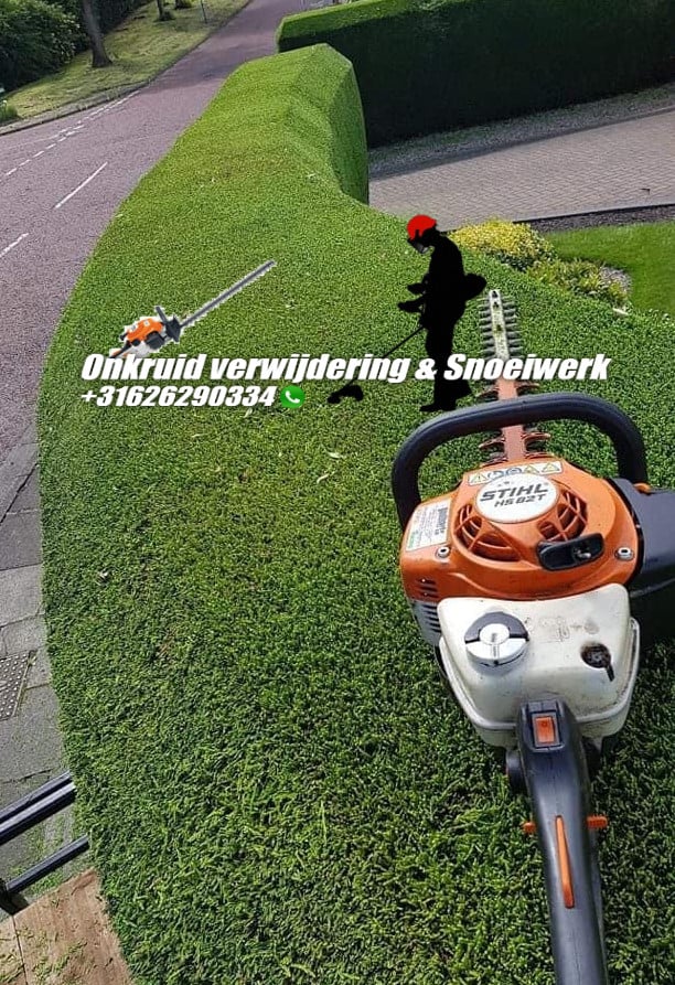 Onkruid verwijdering , maai en snoeiwerk