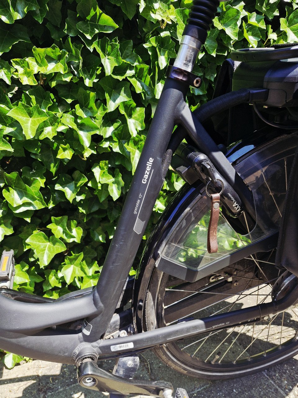 Gazelle Grenoble C7+ HFP
