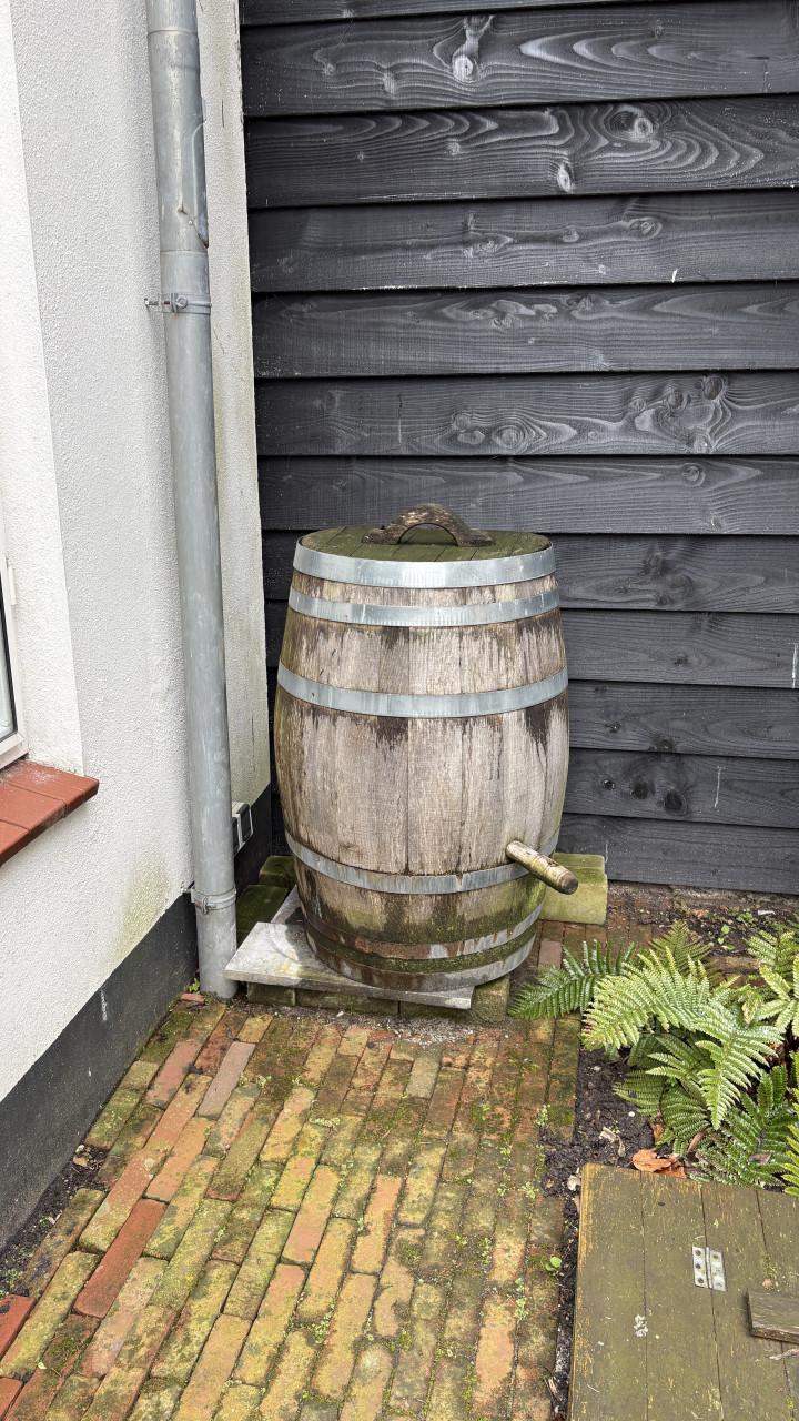 Te koop: houten regenton