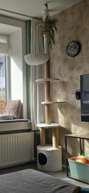 Mooie grote witte krabpaal