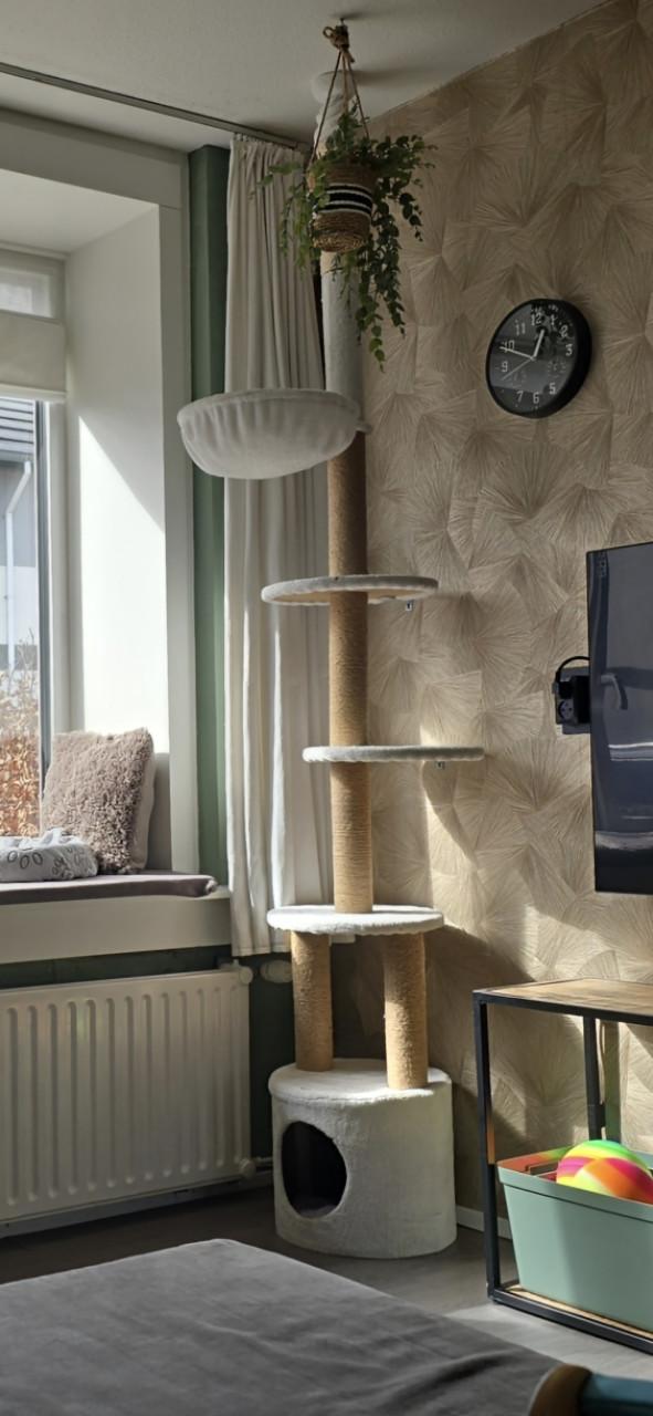 Mooie grote witte krabpaal