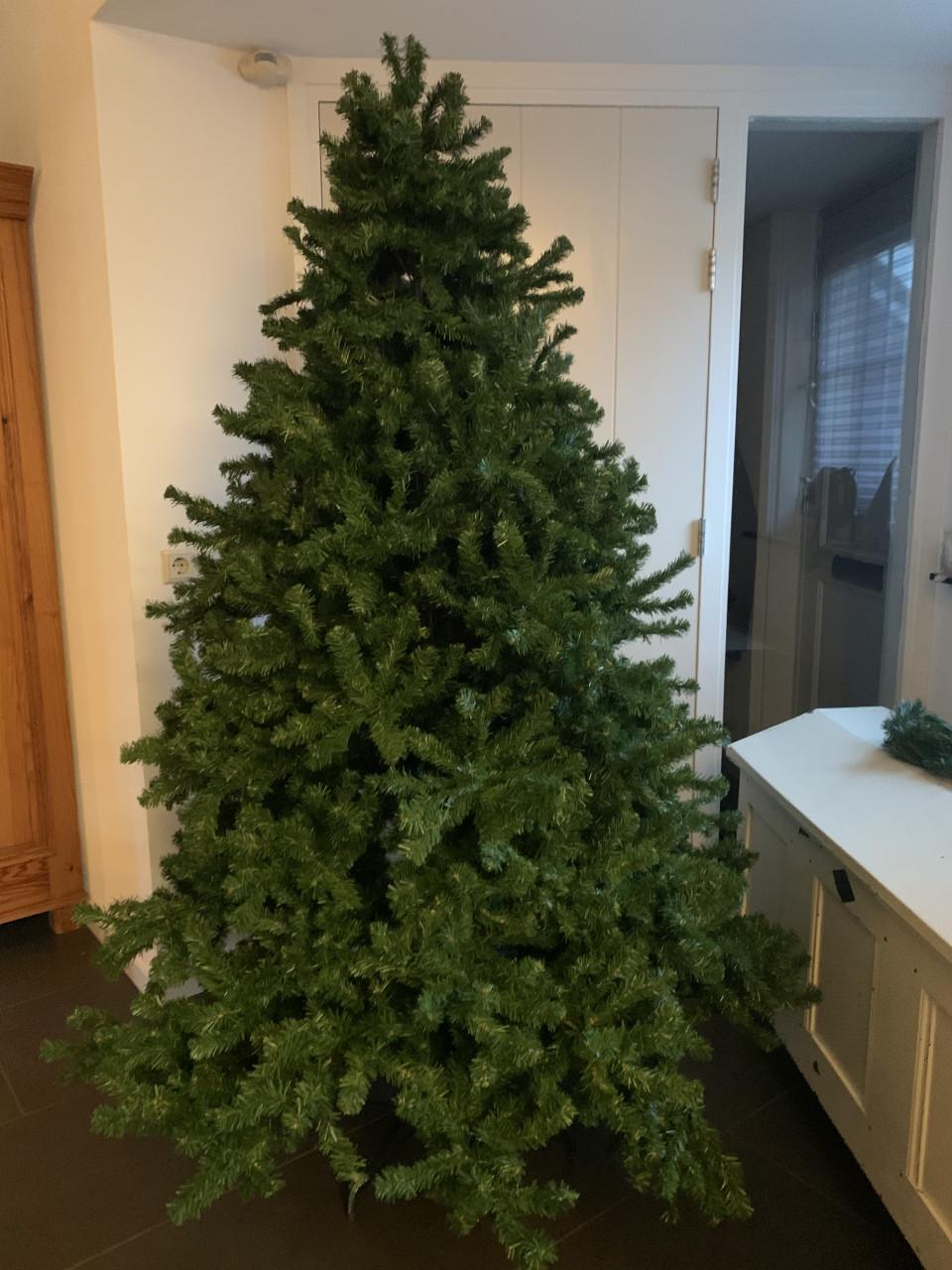 Kerstboom ong 2 meter Intratuin