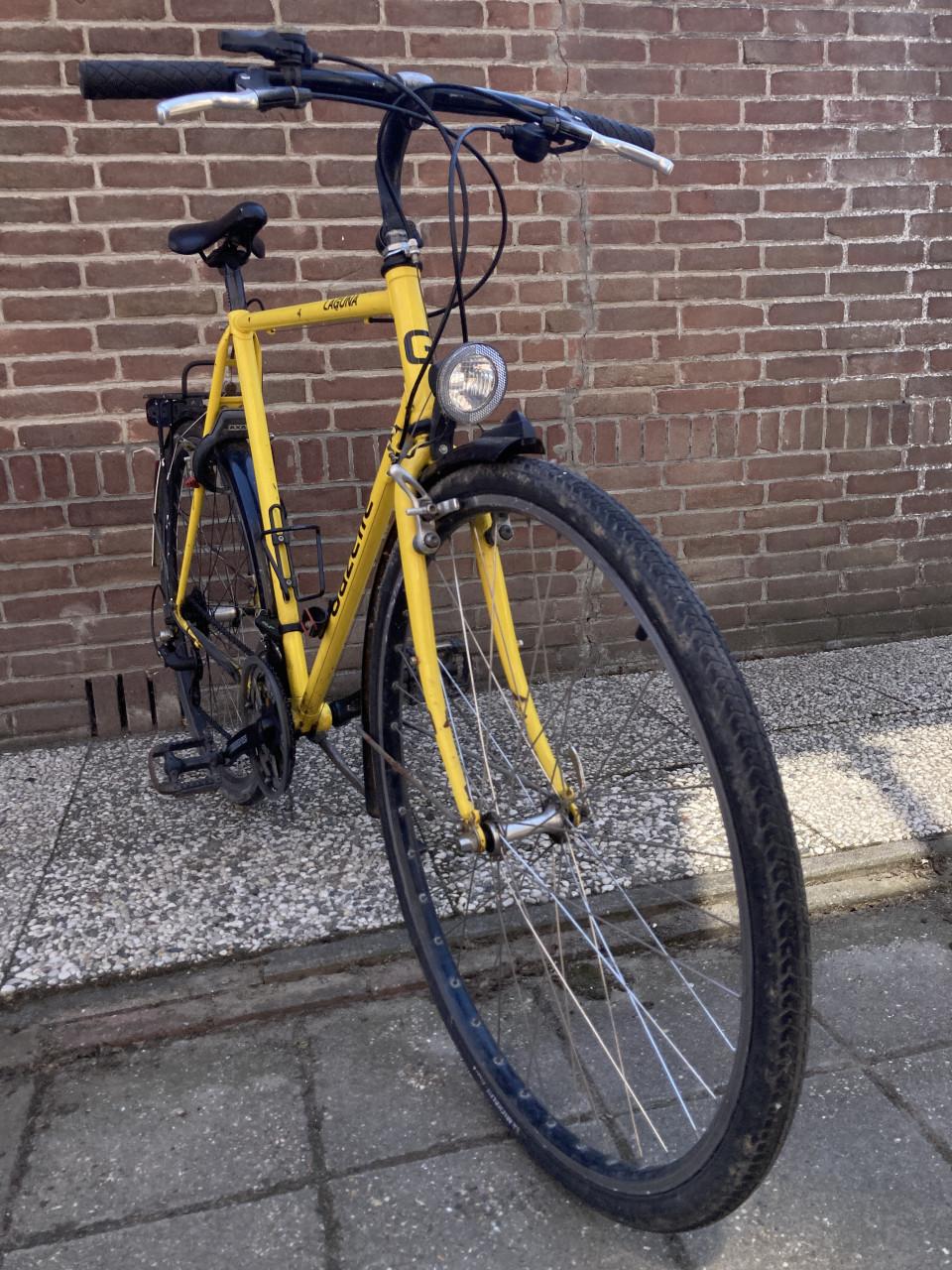 Gazelle Laguna (1996)