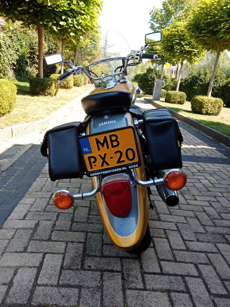 Motor
