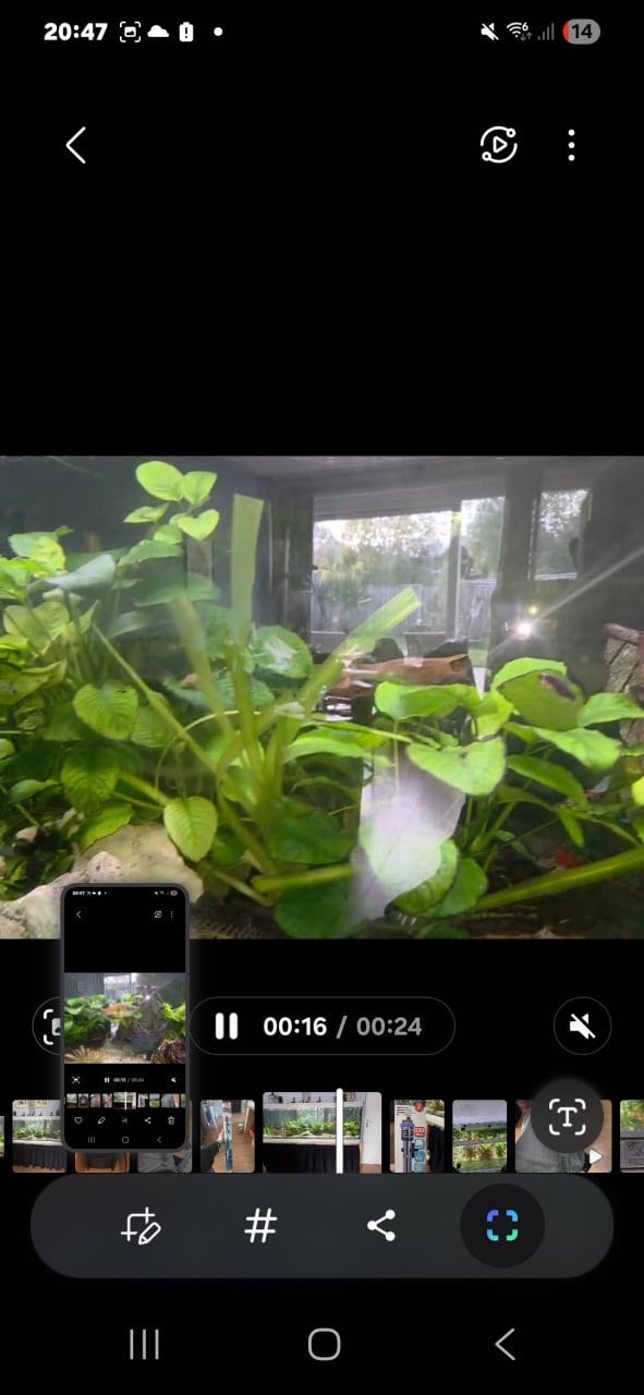 2 meter aquarium met vissen, inrichting en techniek