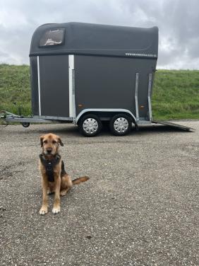 Lichtgewicht 1,5 paards Hotra