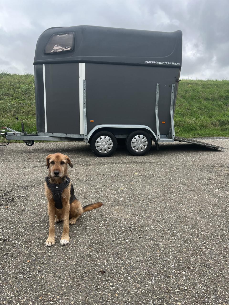 Lichtgewicht 1,5 paards Hotra