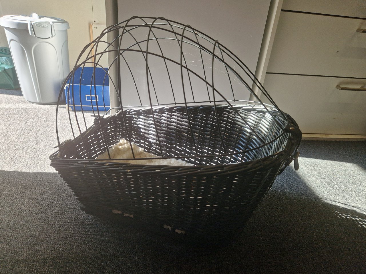 Hondenmand voor achterop de fiets