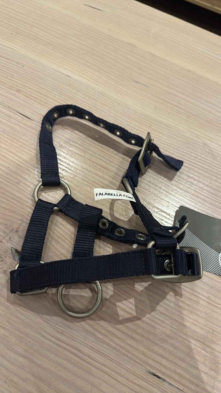 Falabella veulen halster