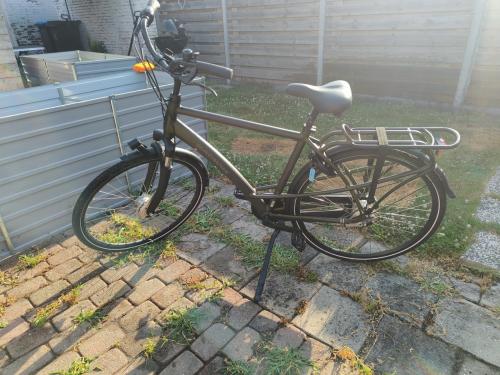 Batavus Mambo 53cm