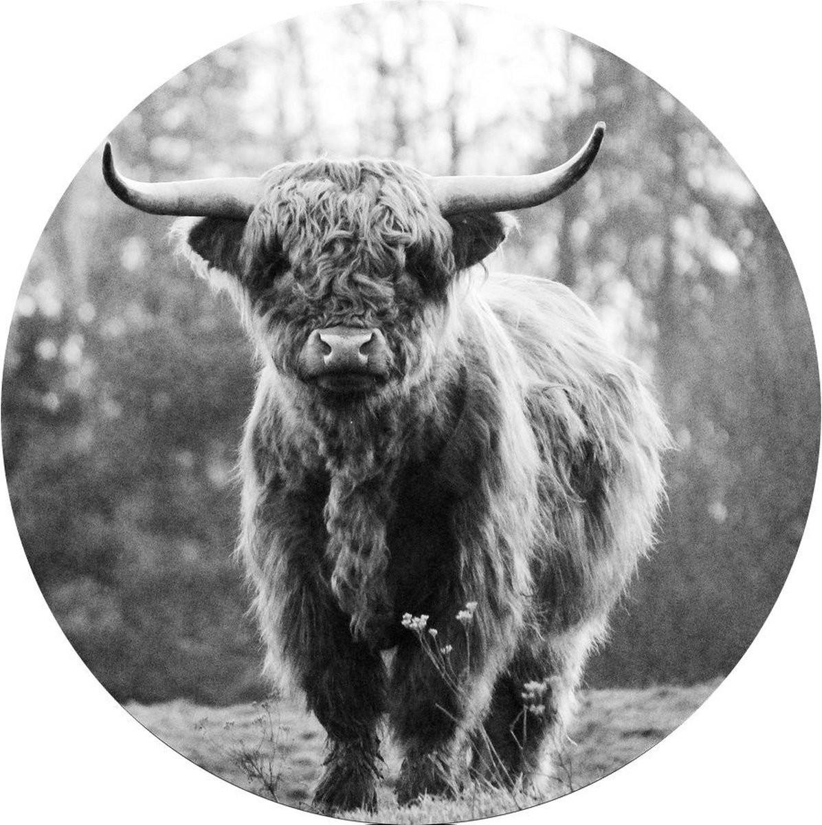 Originele tuinkabouter met zonnebril - 41cm - Tuindecoratie