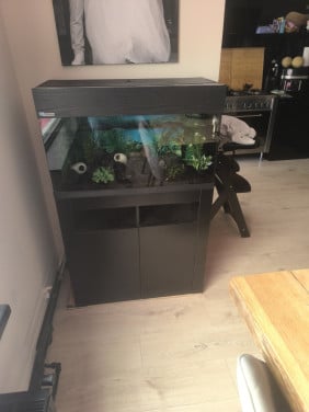 Aquarium