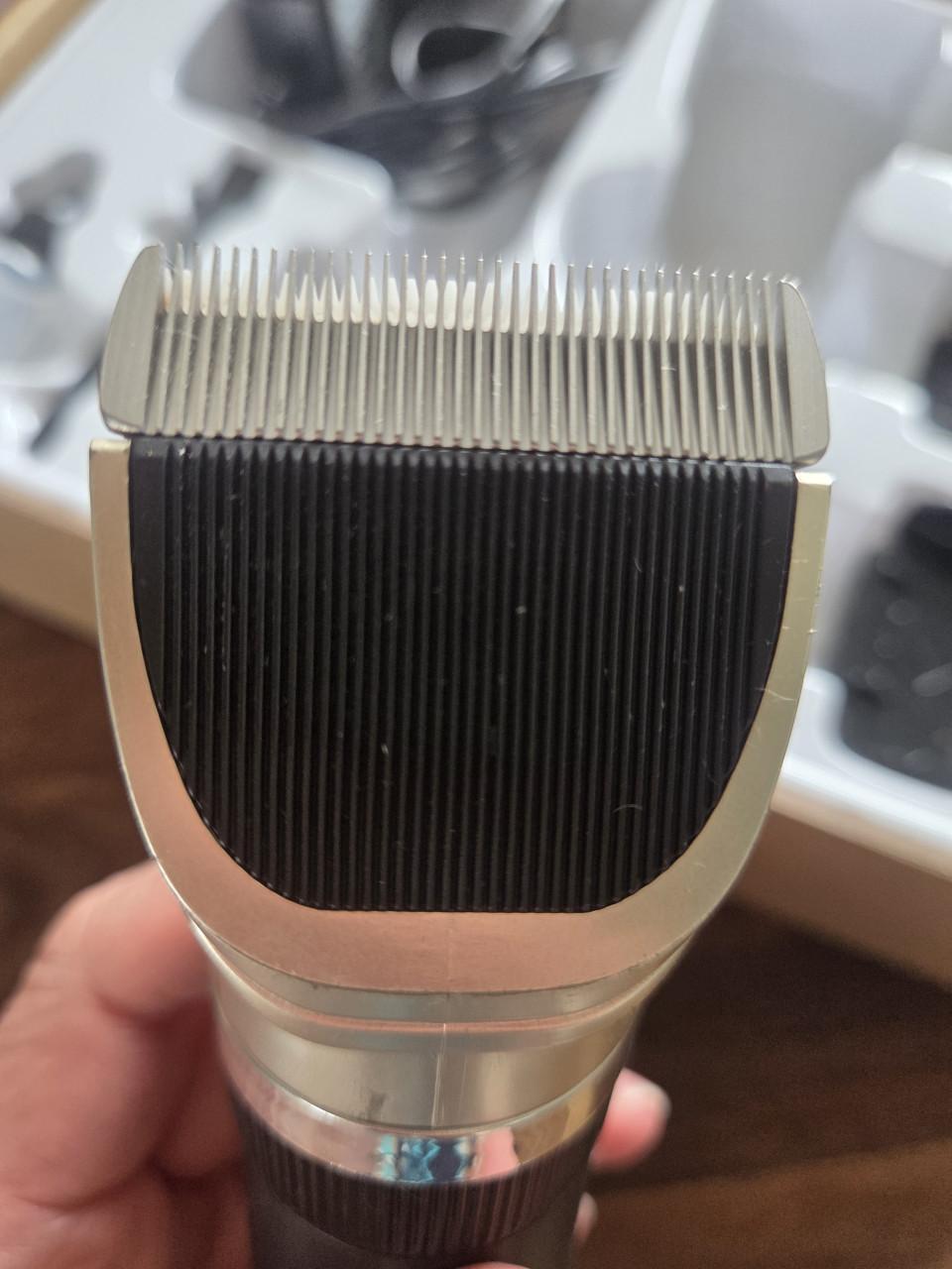 Professionele Dierentondeuse set