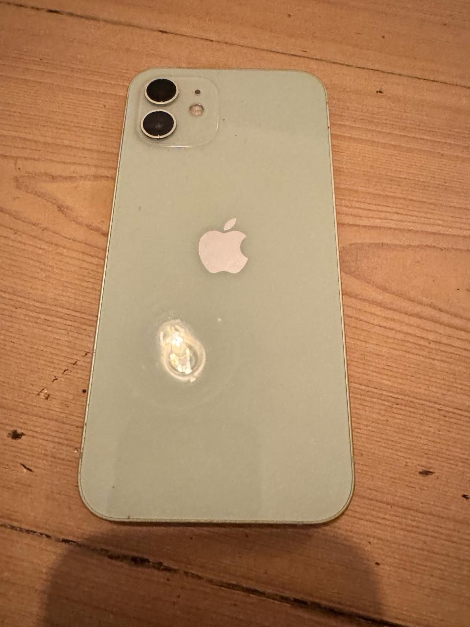 Iphone 12 mintgroen