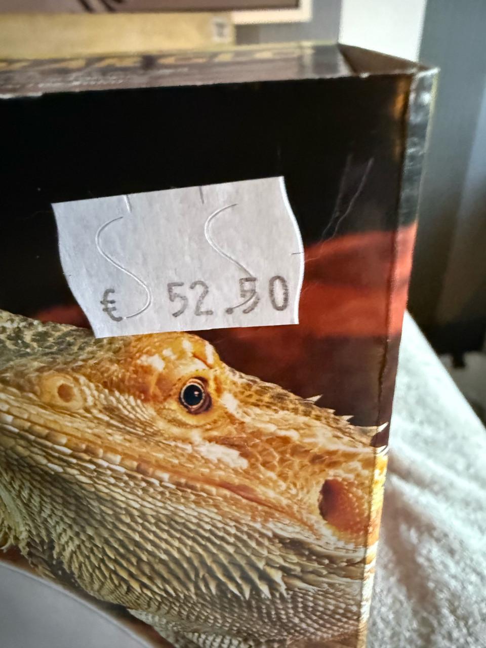 Warmte lamp terrarium