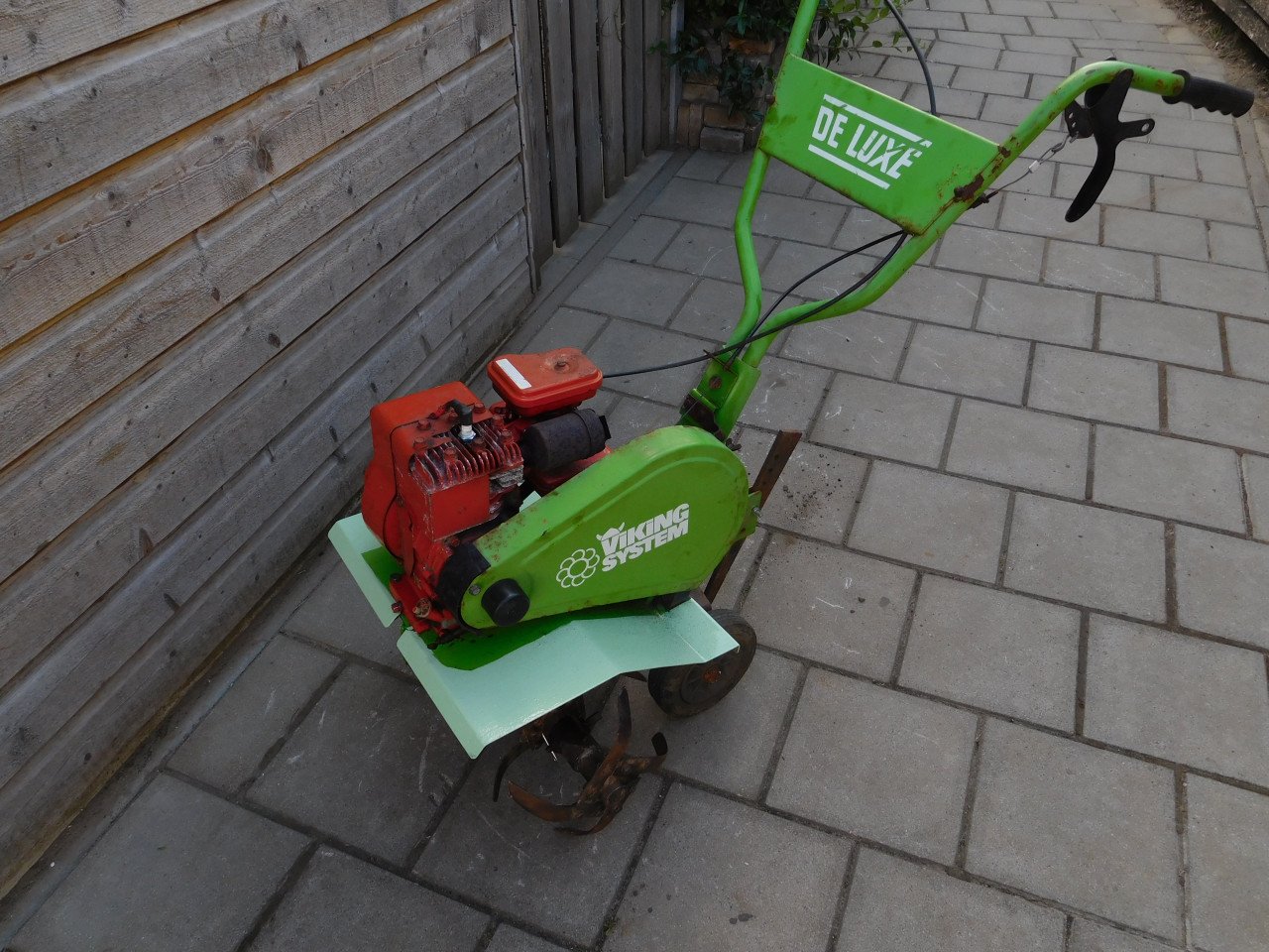 Tuinfrees