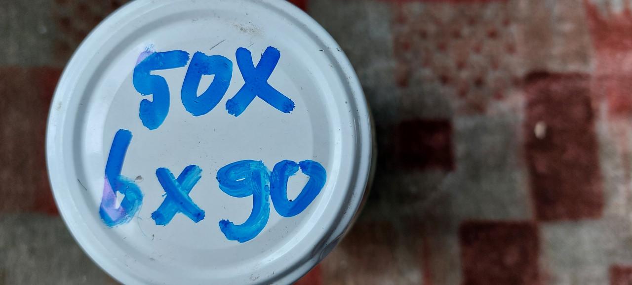 50 st PVK Houtschroeven staal 6x90