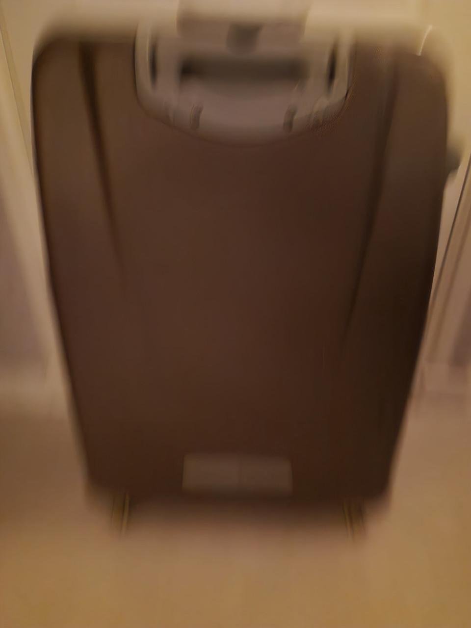 2 REISKOFFERS OP WIELEN