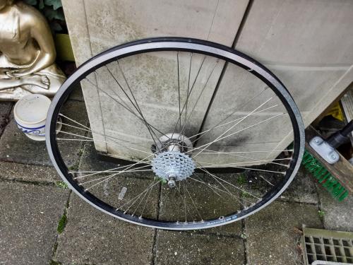 28 inch 'shimano achterwiel, 7 speed cassette, rollerbrake rem
