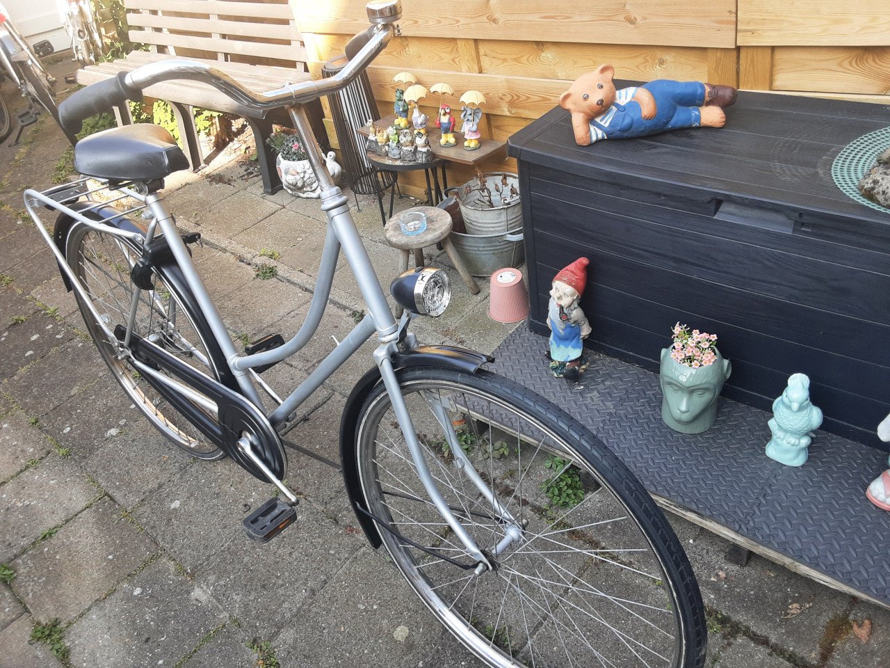 Damesfiets met terugtraprem