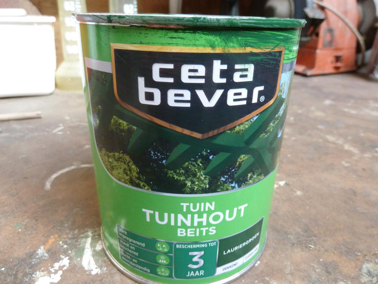 3/4 BUS MET GROENE BEITS