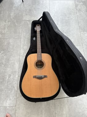 Ibanez artwood 250
