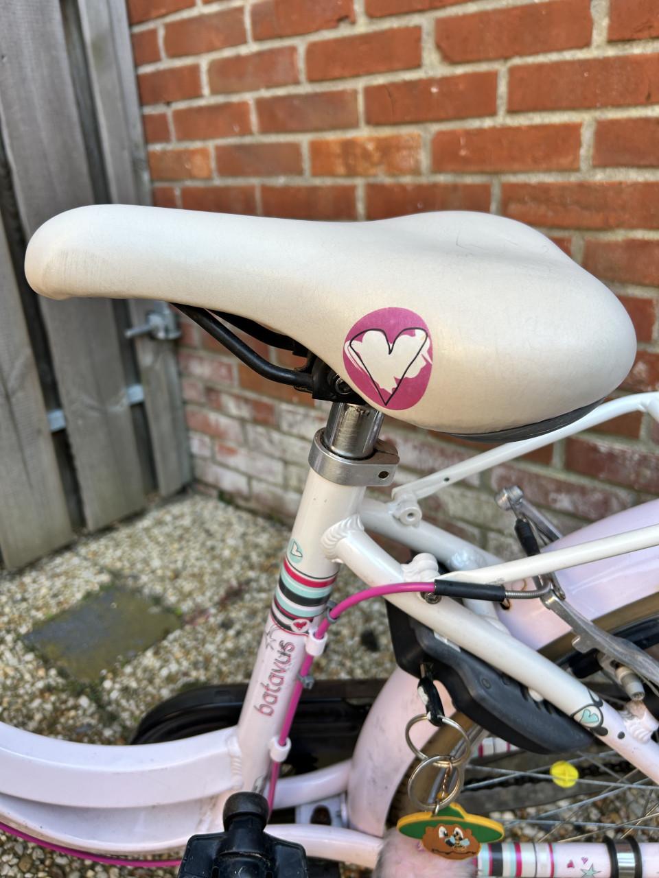 Batavus meisjesfiets