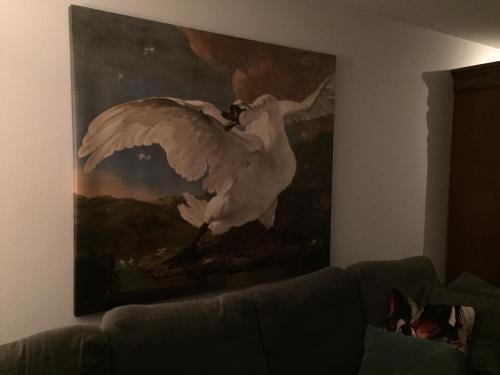 Canvasdoek "de bedreigde zwaan"