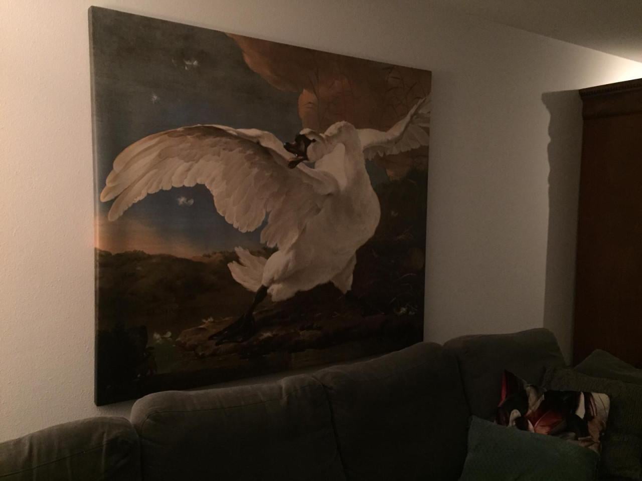 Canvasdoek "de bedreigde zwaan"