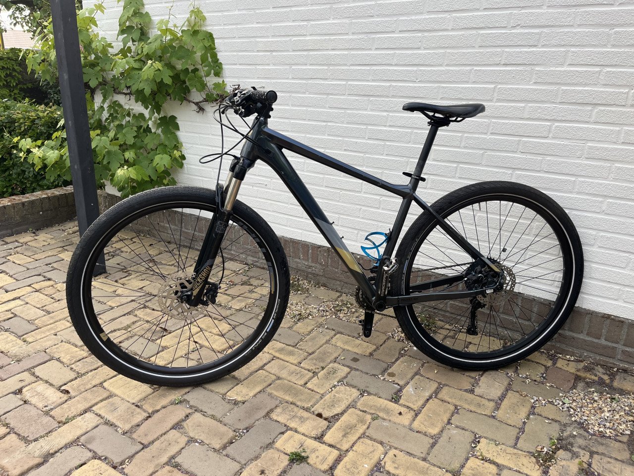 Mountainbike Cube Acces SL