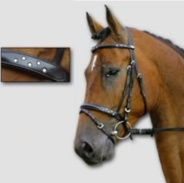 Kieffer bling neusriem