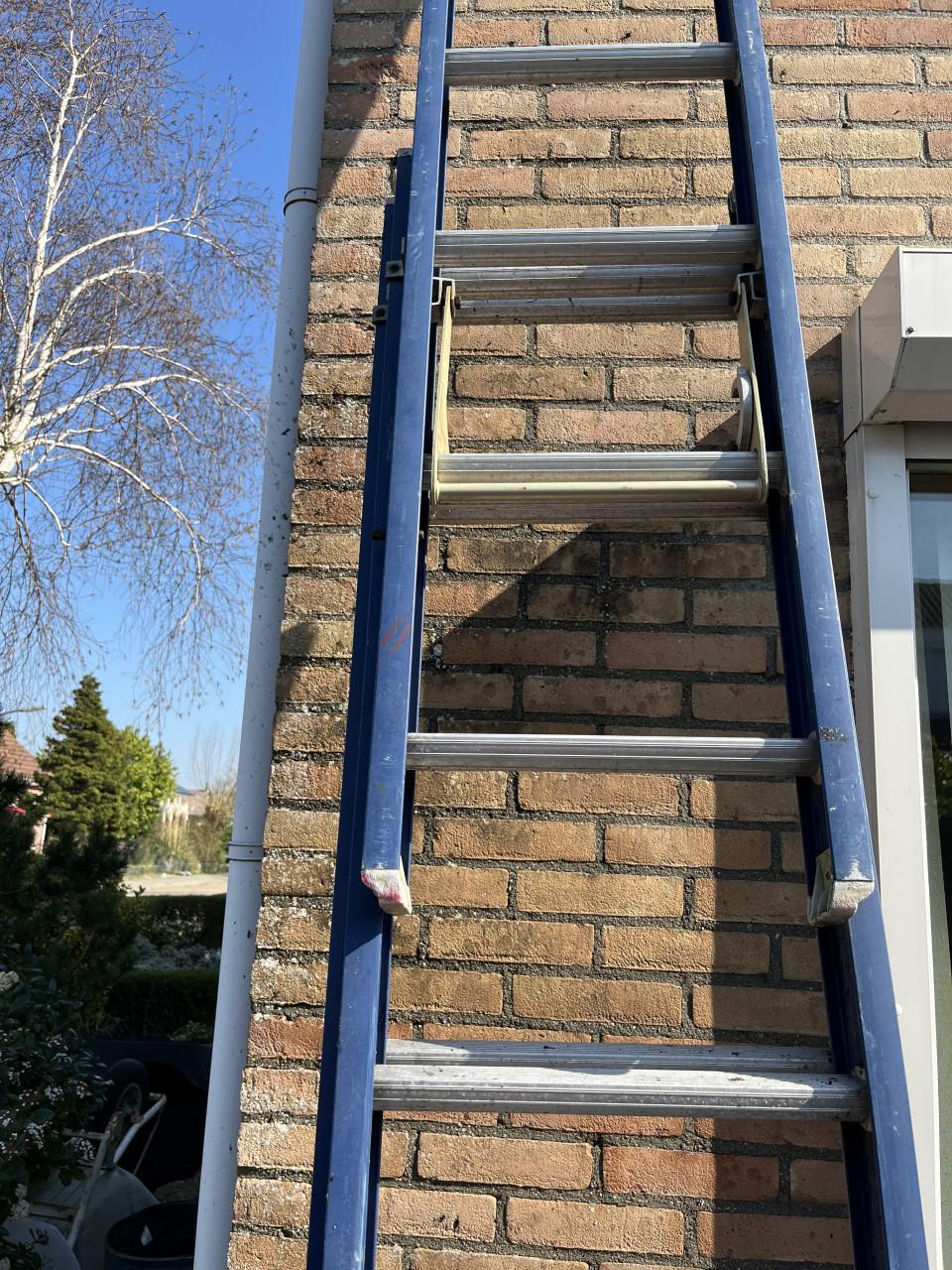 Ladder altrex 3x 10