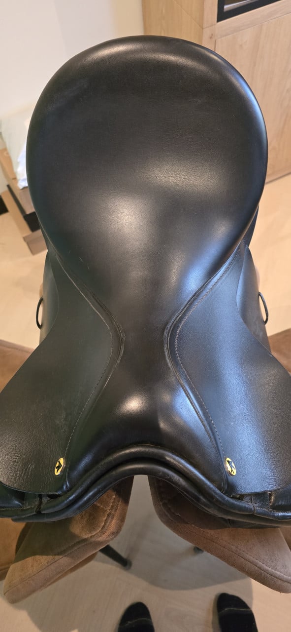 Anatomica Octant G3 treeclix