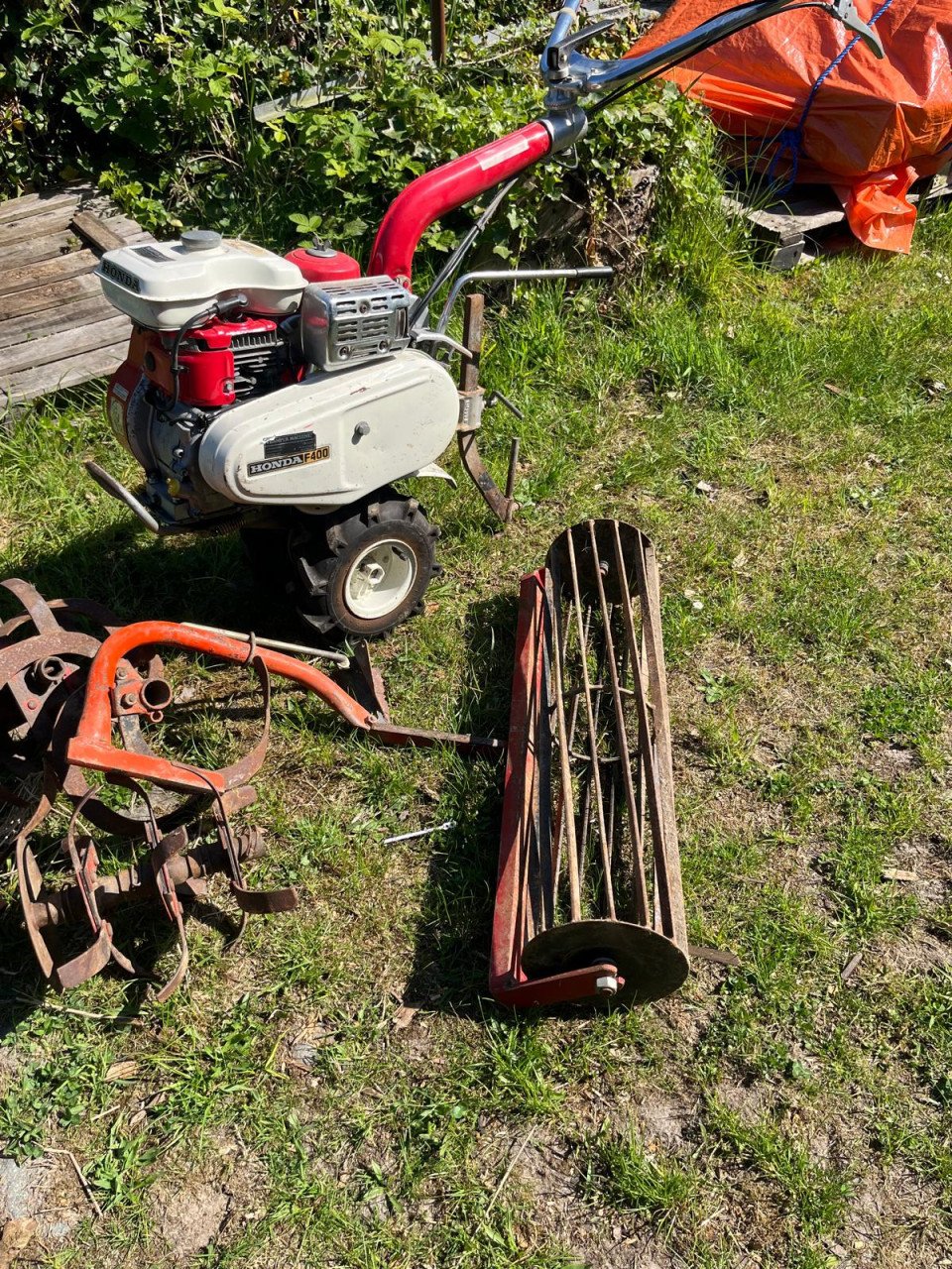 Tuinfrees