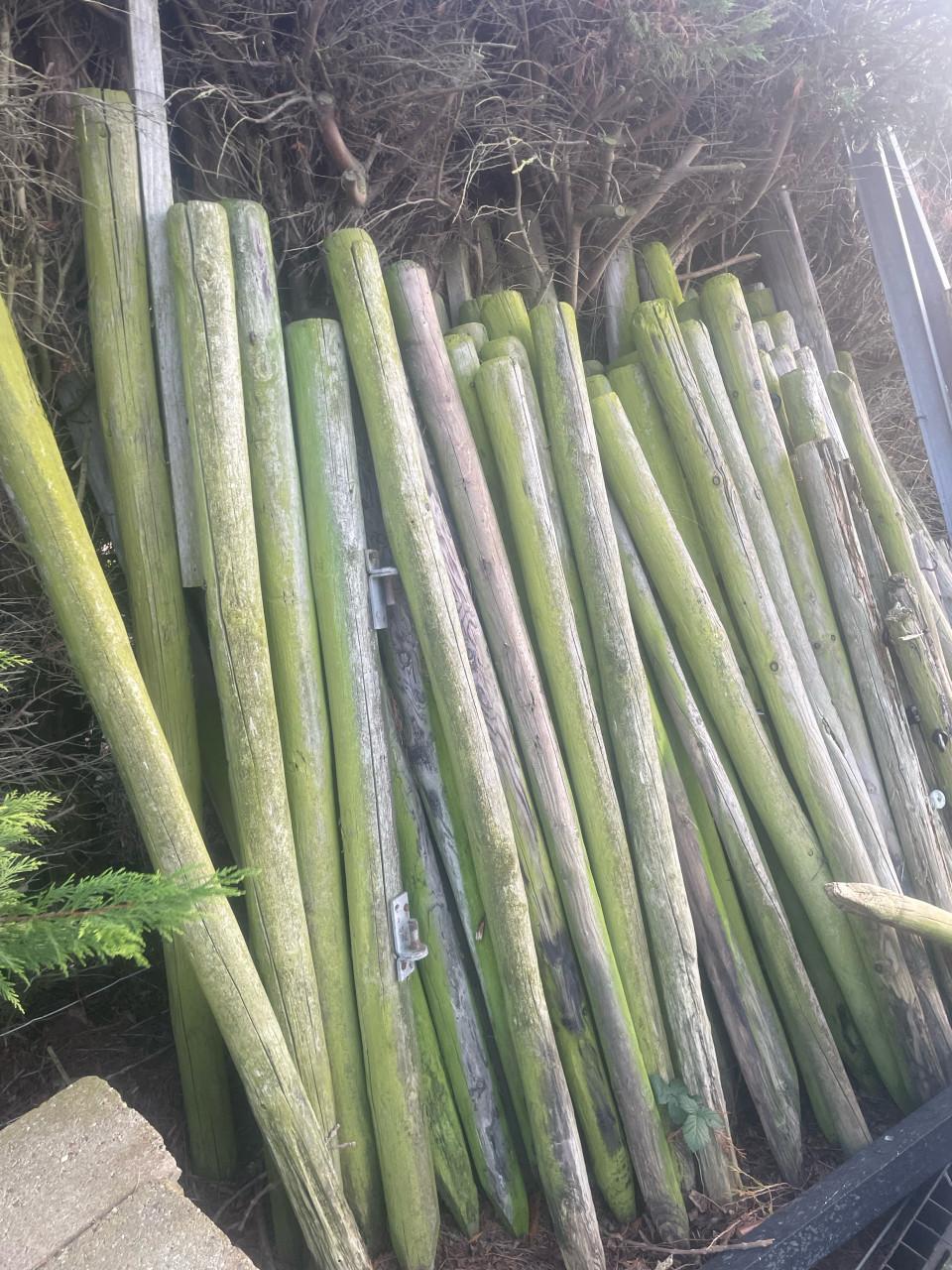 Weipaaltjes wei palen