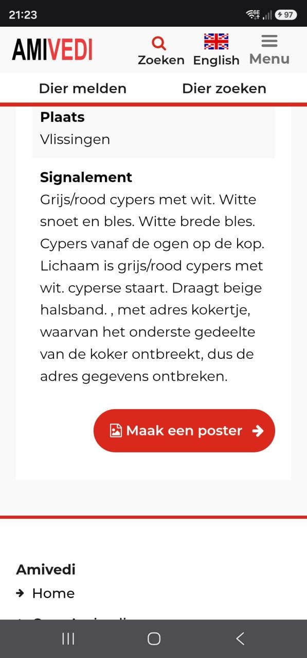 Freddy (poes) - Vermist