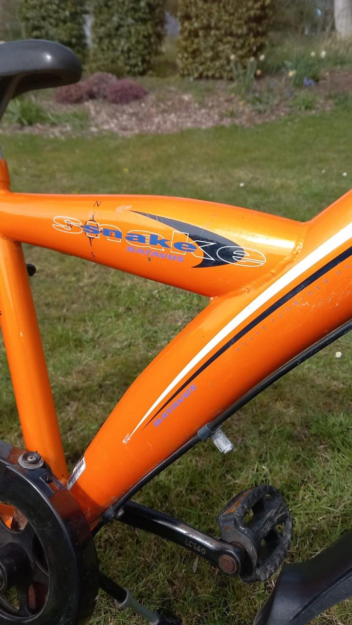 Batavus Snake 22 inch