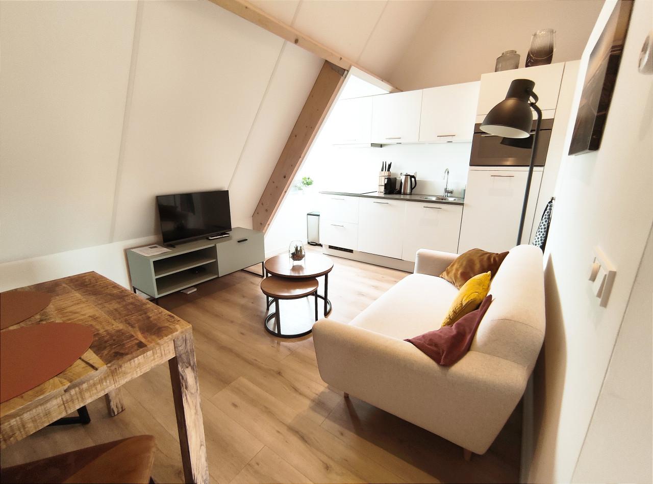 Gemeubileerd appartement Zoutelande (tijdelijk 10 nov - 10 maart)