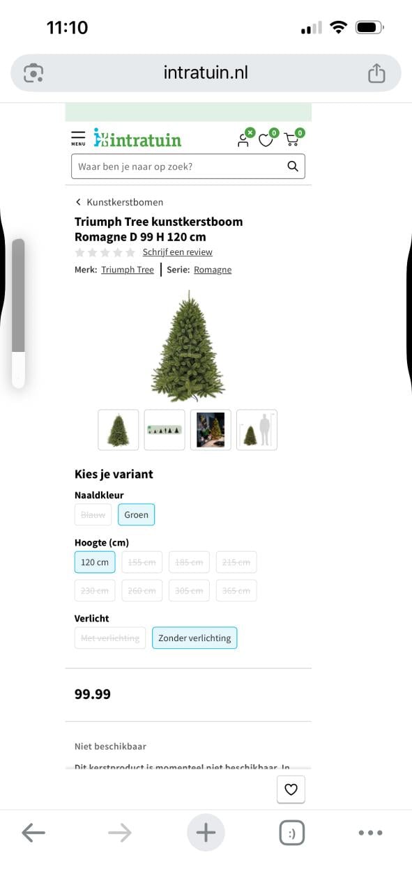 Kerstboom Romagne Intratuin