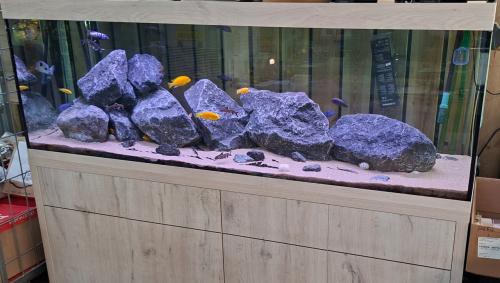 Aquatlantis Aquarium Sublime 200x60x60